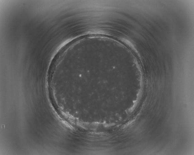 X0000066501133200604141715