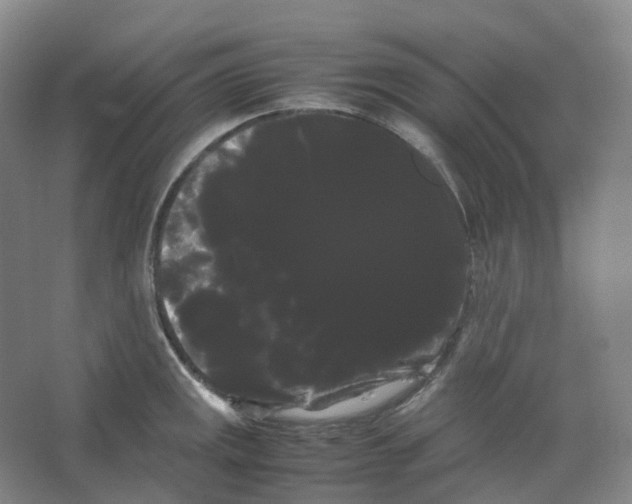 X0000066501141200604141716