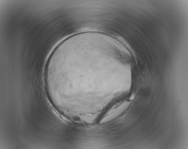 X0000066501148200604141716