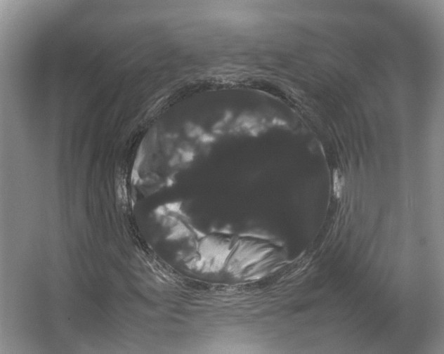 X0000066501155200604141715