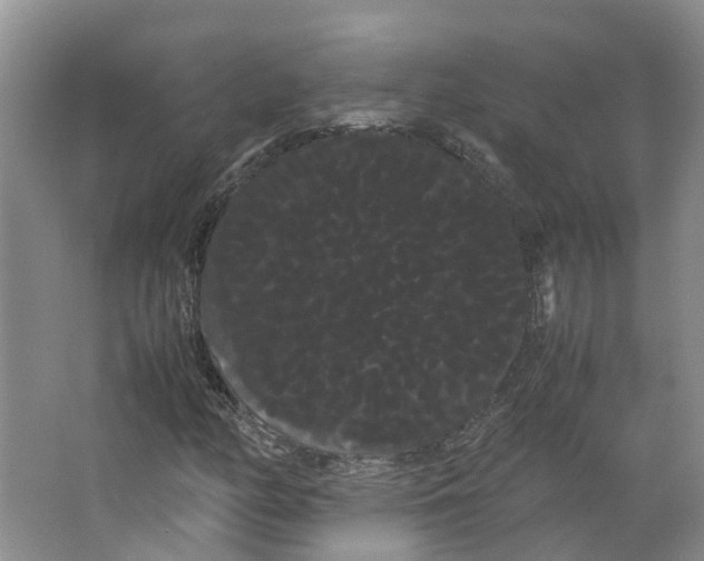 X0000066501158200604141715