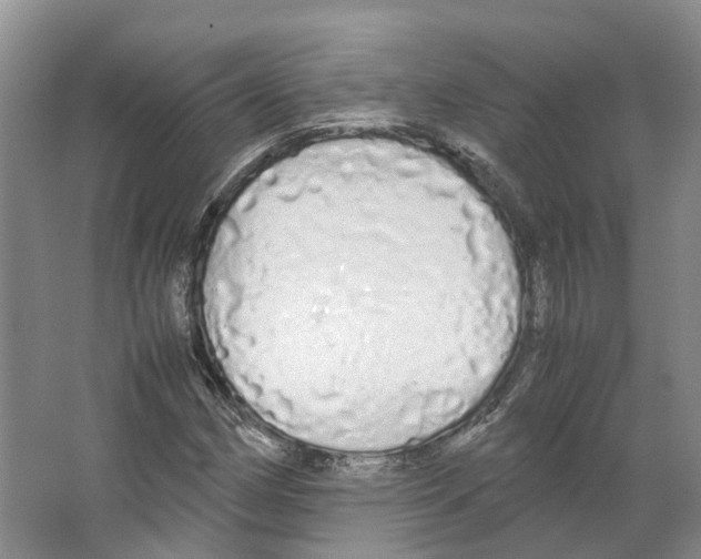 X0000066501162200604141715