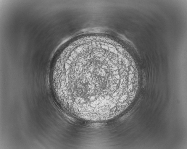 X0000066501166200604141715
