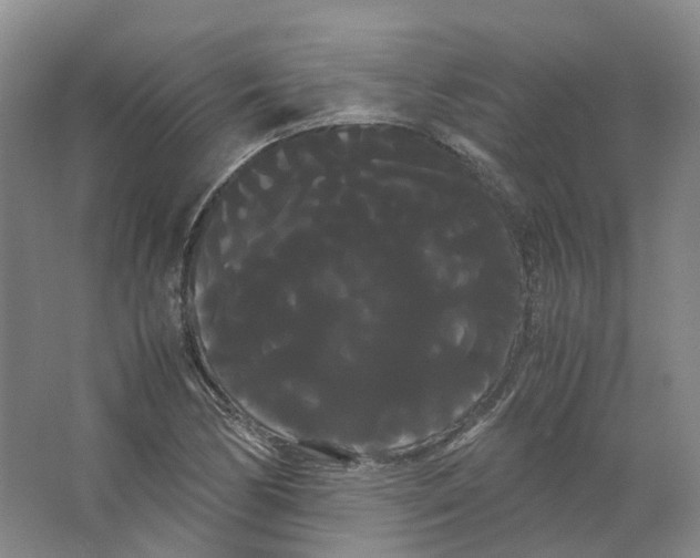 X0000066501170200604141715