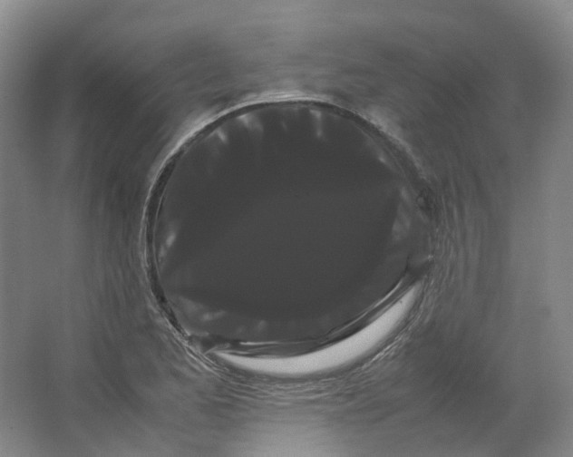 X0000066501173200604141715