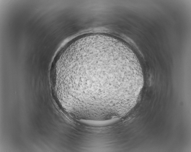X0000066501176200604141715