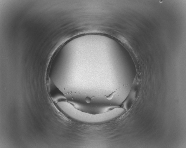 X0000066501181200604141714