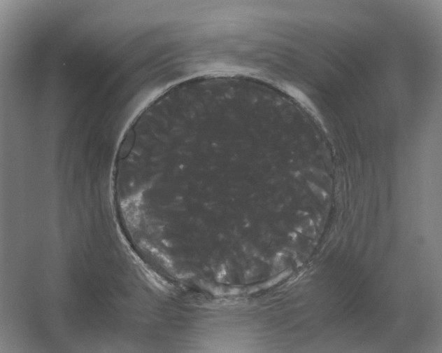 X0000066501183200604141714