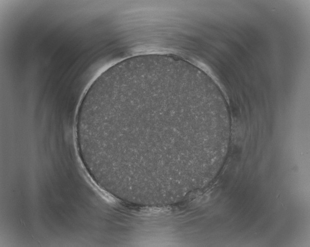X0000066501187200604141714