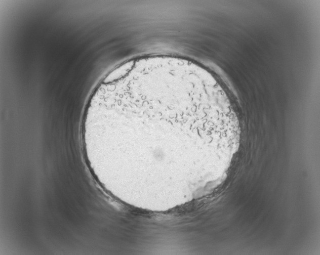 X0000066501191200604141714