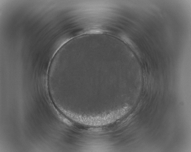 X0000066501194200604141714
