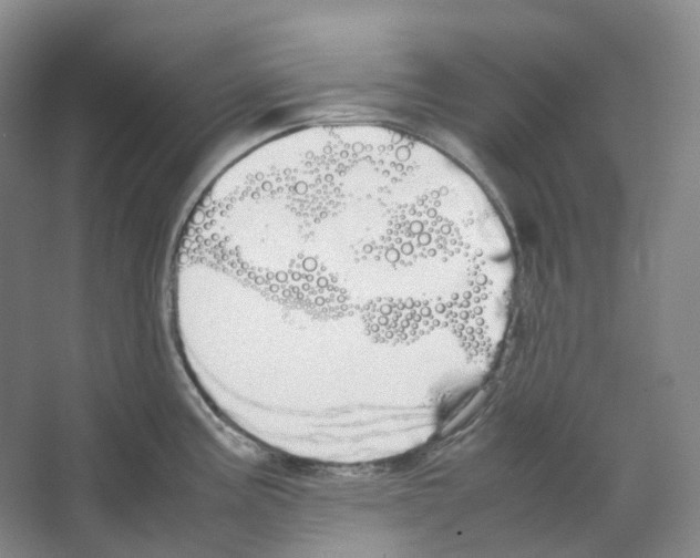 X0000066501195200604141714