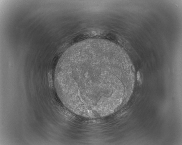 X0000066501203200604141713