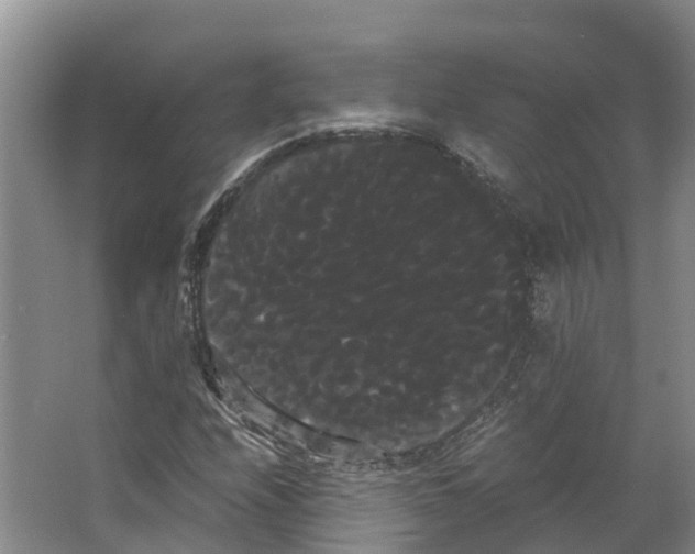 X0000066501208200604141713