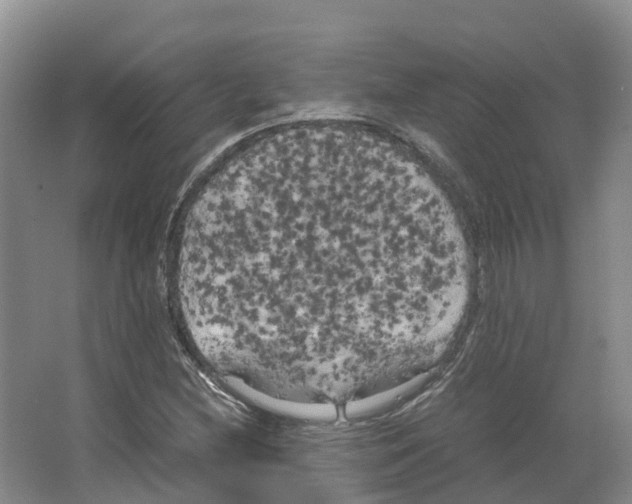 X0000066501212200604141713