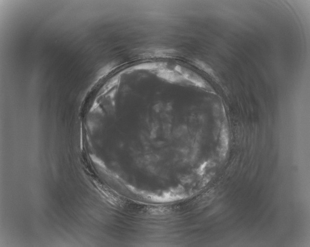 X0000066501219200604141714