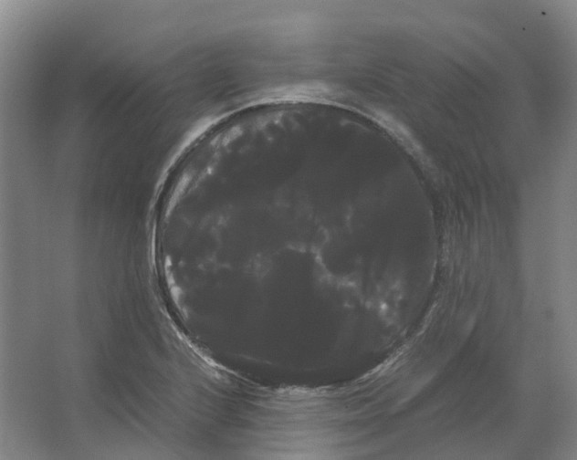 X0000066501224200604141714