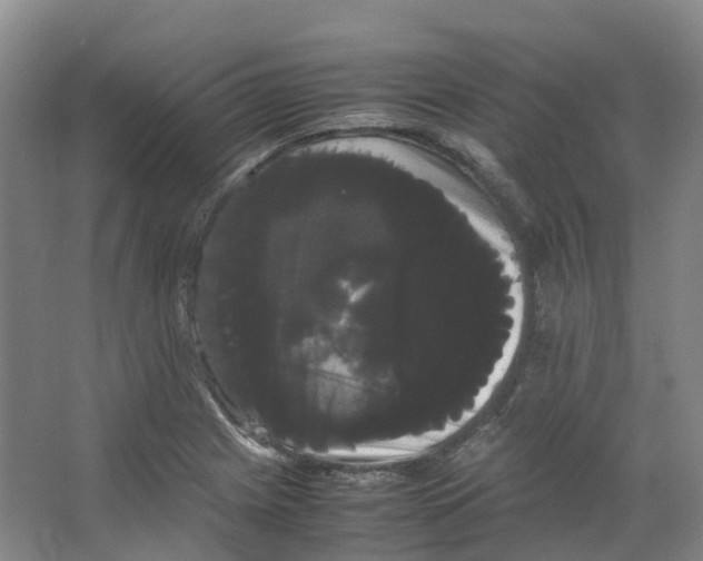 X0000066501225200604141714