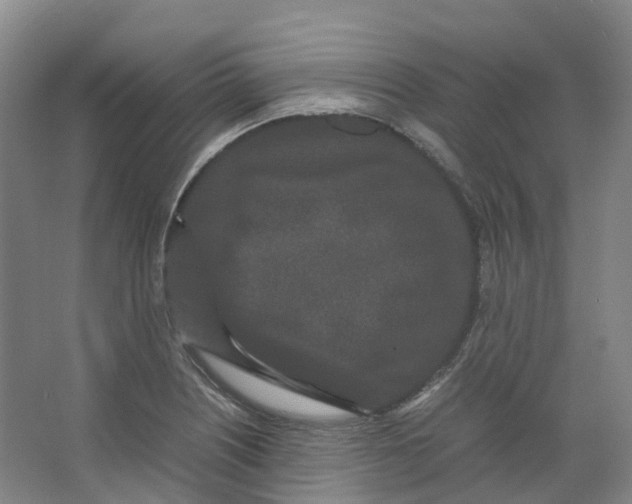 X0000066501226200604141714