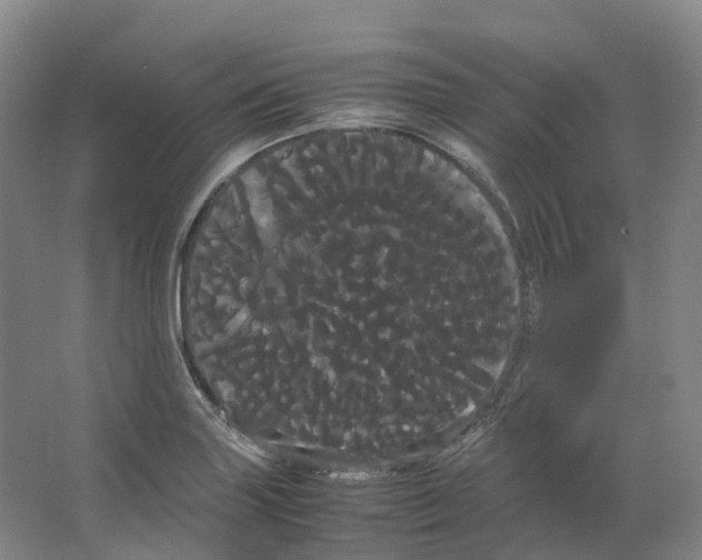 X0000066501227200604141714