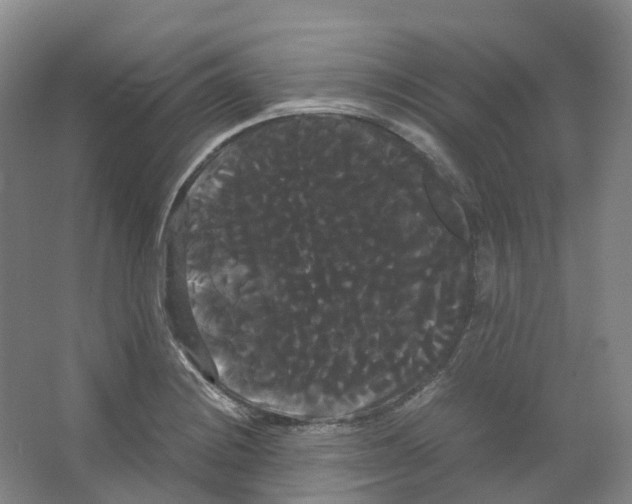 X0000066501228200604141714