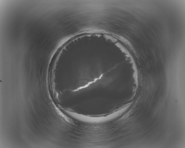 X0000066501231200604141714
