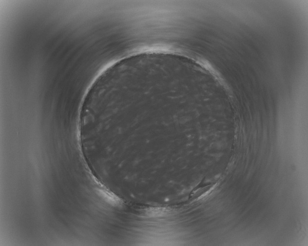 X0000066501232200604141714