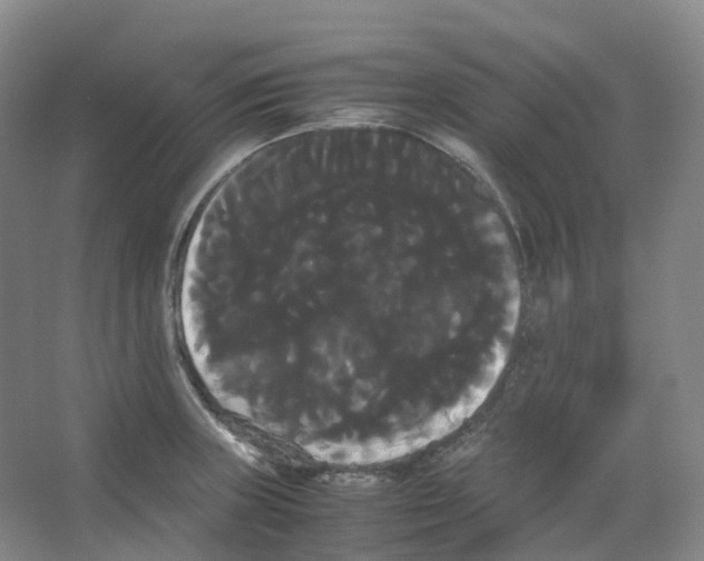 X0000066501235200604141714