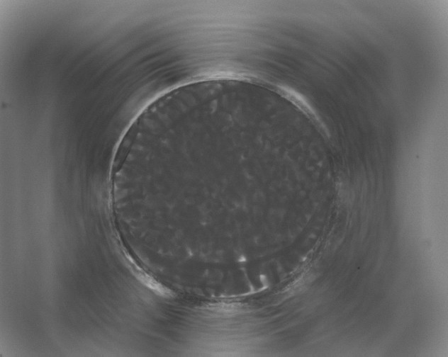 X0000066501236200604141714