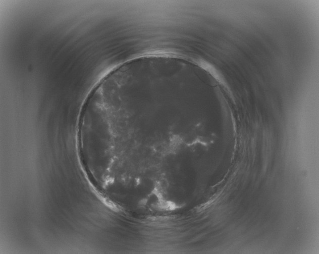 X0000066501237200604141714