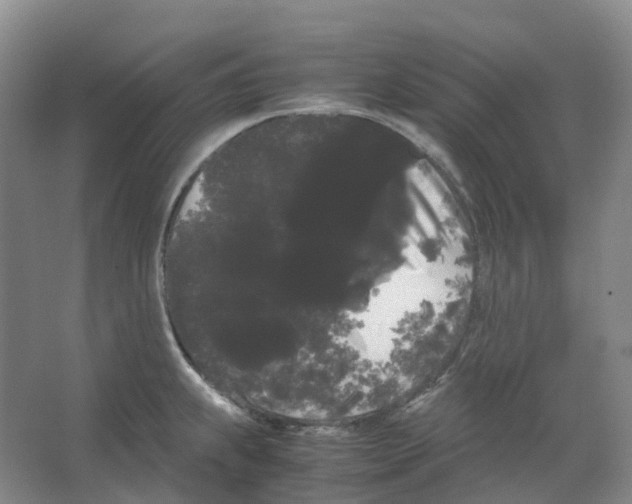X0000066501239200604141714
