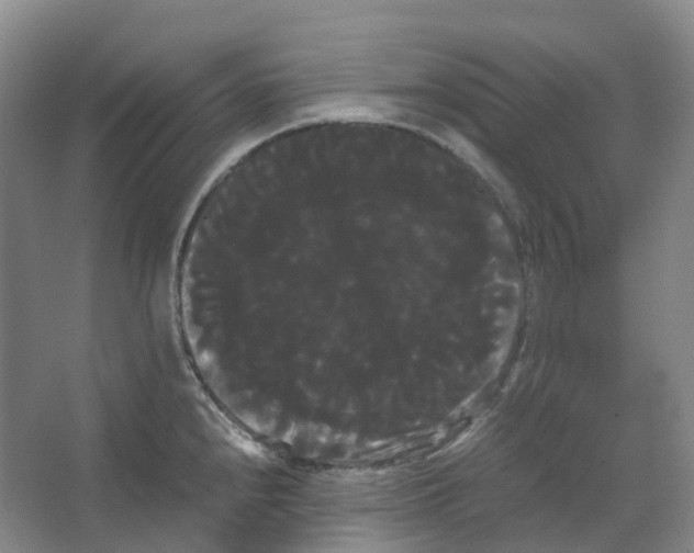X0000066501240200604141714