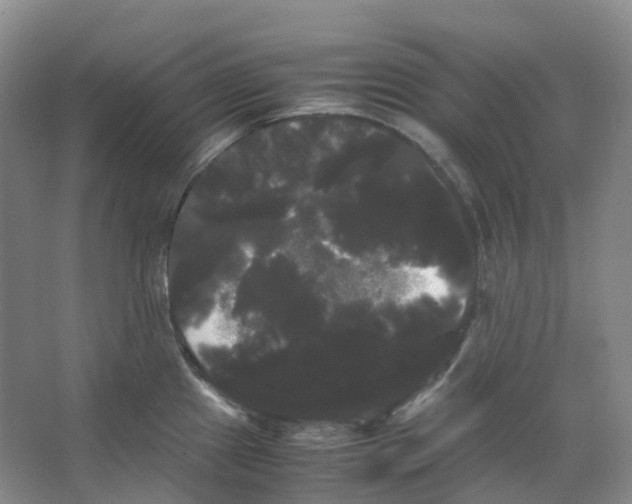 X0000066501241200604141714