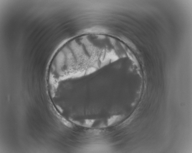 X0000066501248200604141714