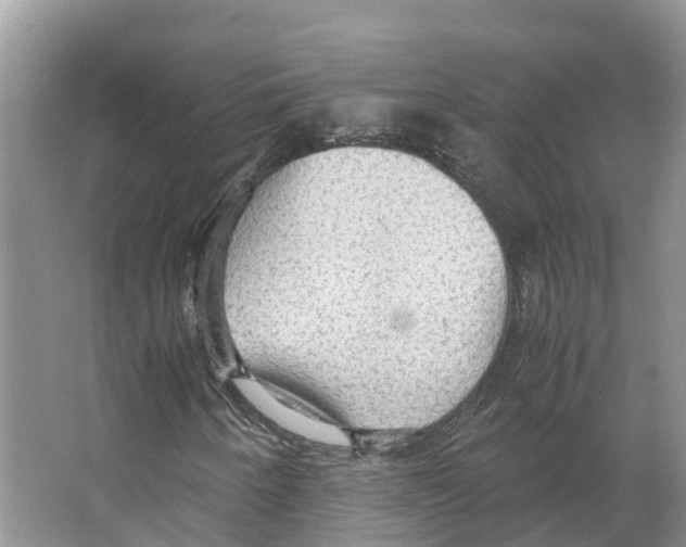 X0000066501250200604141713