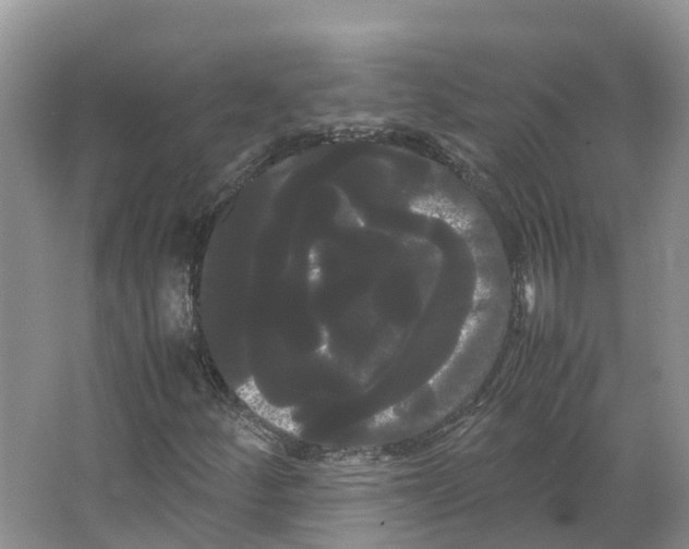 X0000066501252200604141713