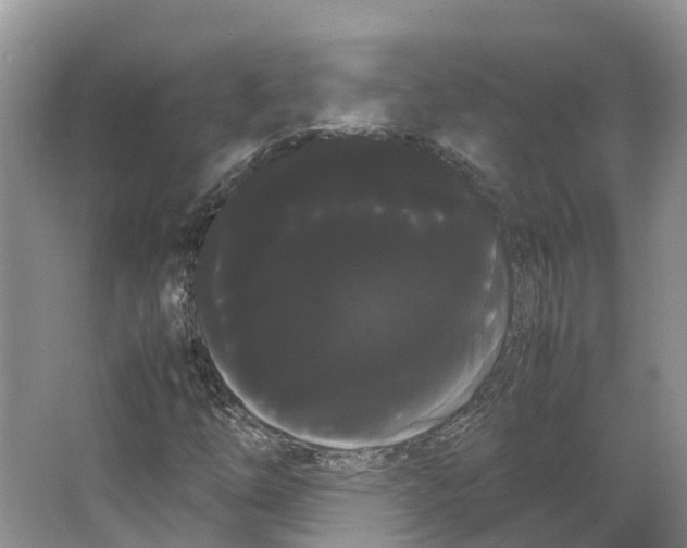 X0000066501254200604141713