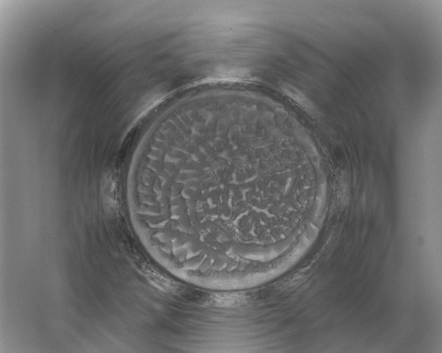 X0000066501258200604141713