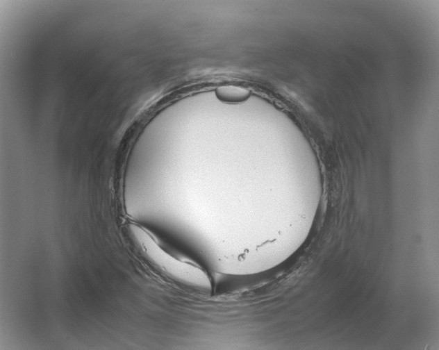 X0000066501261200604141713