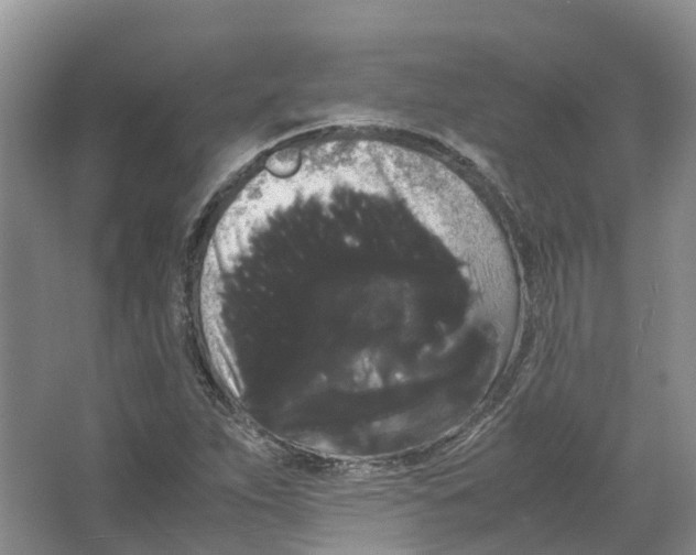 X0000066501263200604141713