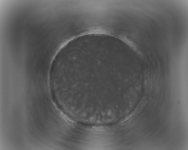 X0000066501264200604141713