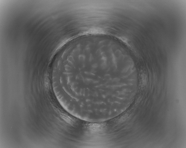 X0000066501266200604141713