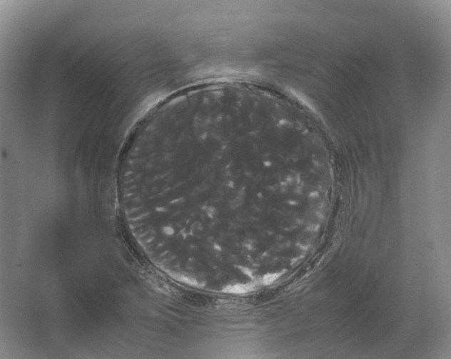 X0000066501267200604141713