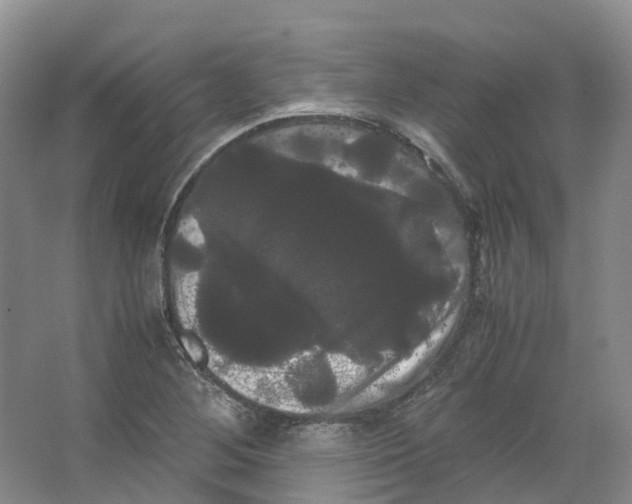 X0000066501268200604141713