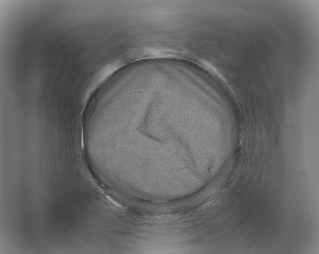 X0000066501269200604141713