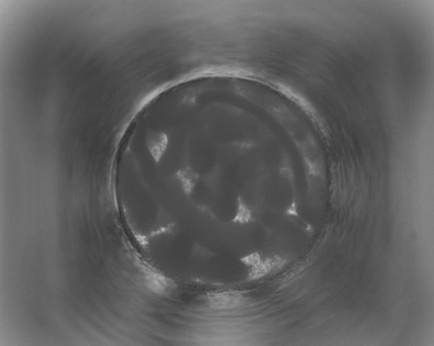 X0000066501272200604141713