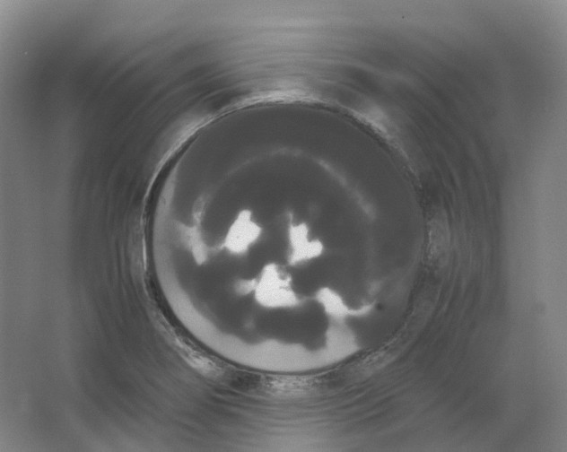 X0000066501274200604141713