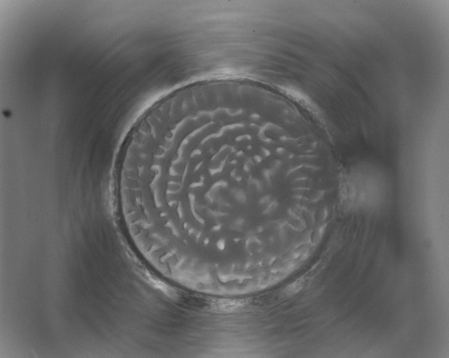 X0000066501278200604141713