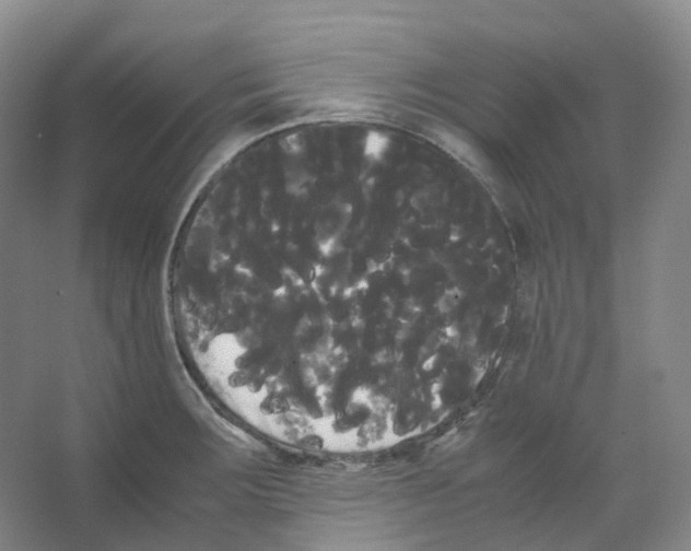 X0000066501283200604141713