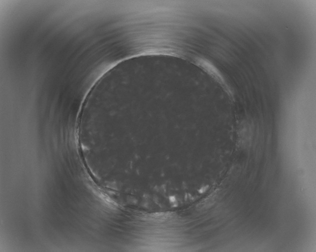 X0000066501284200604141713